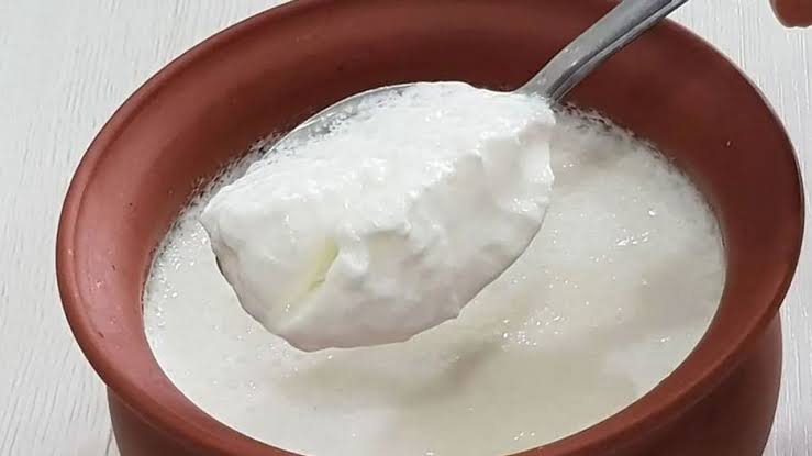Creamy Curd Recipe With Milk Powder for a Thick Texture