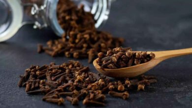 Eating Cloves in the Morning What the Spice May Offer
