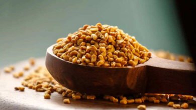 Fenugreek May Not Suit Everyone, Experts Warn