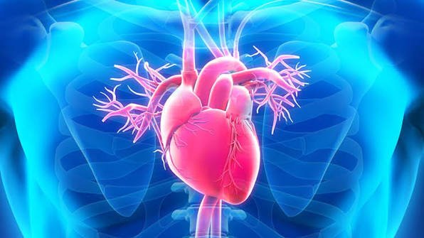 Heart Health Tips To Check Your Heart Health In Five Minutes