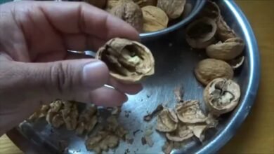 How to Choose Fresh Walnuts Without Cracking the Shell