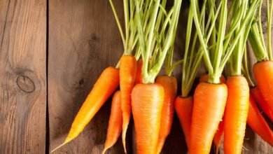 Rainy Season Carrots: Is Cooking Them Safer Than Eating Raw