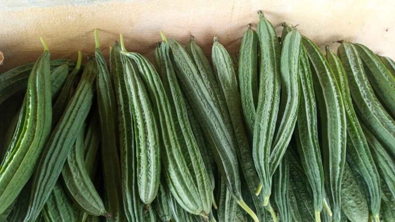 Ridge Gourd Benefits: This Simple Vegetable Can Add More Nutrition To Your Diet