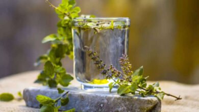 Tulsi Water in the Morning: Benefits and Important Facts