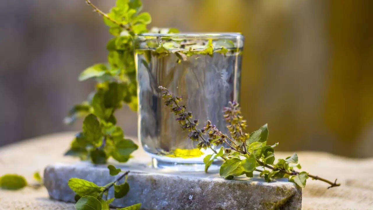 Tulsi Water in the Morning: Benefits and Important Facts