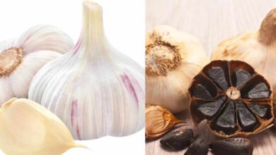 White Garlic vs Black Garlic What Makes Them Different