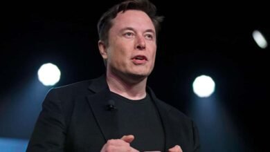 Grok Answer on Indian Citizenship Goes Viral After Elon Musk Comment