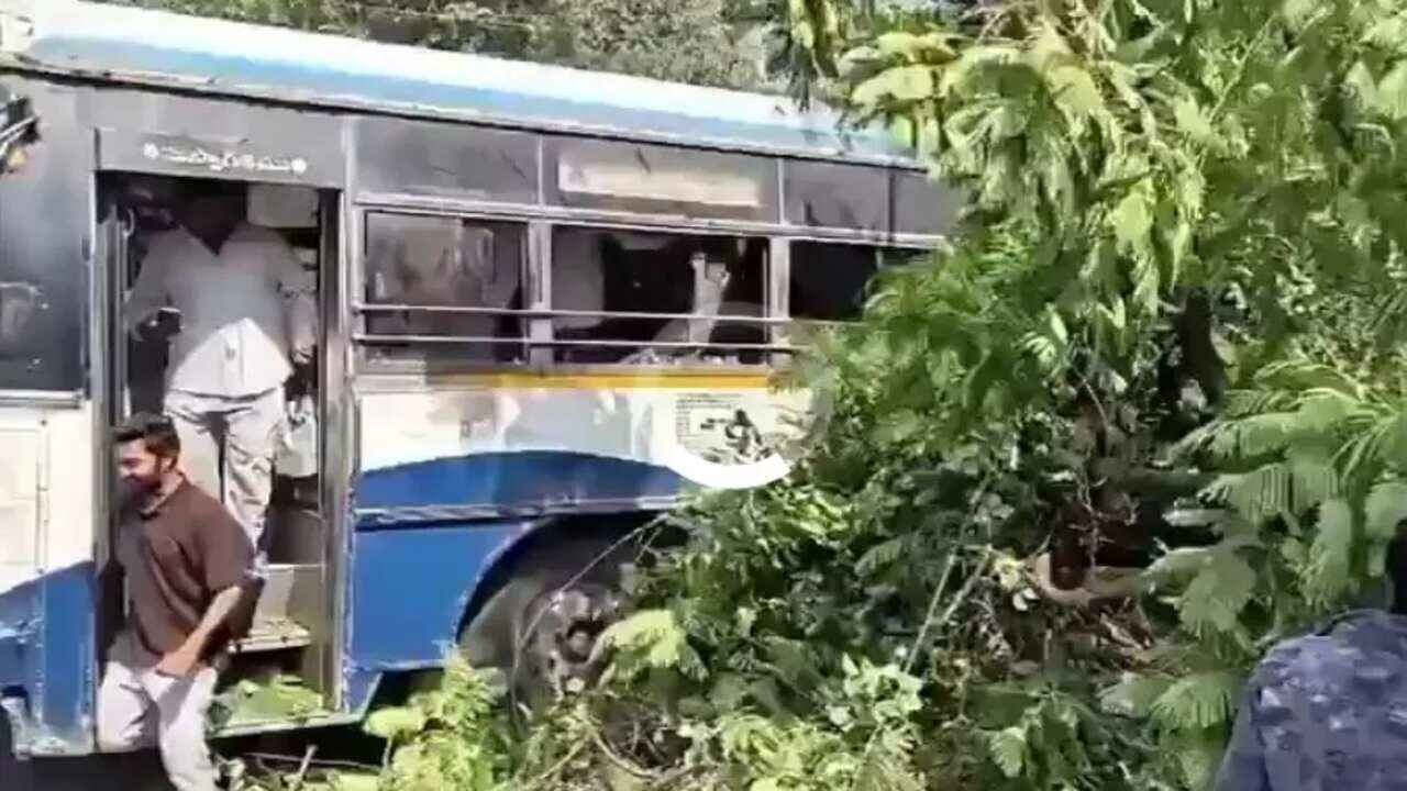 Hanamkonda Tree Accident: Tree Falls After Bus Hits Overhead Wires in Hanamkonda