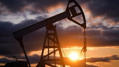 India Russia Oil Deal: Russia Says India Buys Its Oil for Energy Security, Not to Help Moscow