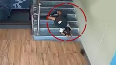 Shadnagar School Tragedy: 9 Year Old Student Dies After Falling Down Stairs