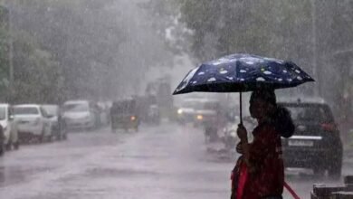 Telangana Red Alert: Telangana Weather Alert: Red Warning Issued for 17 Districts Amid Heavy Rain